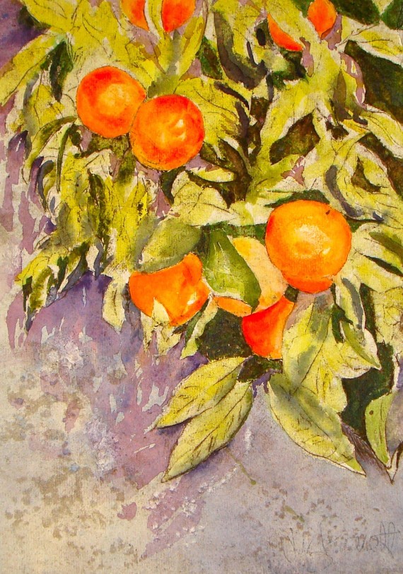 Oranges on the old garden wall